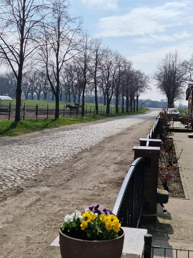 Ferienwohnung Fam. Natusch Steinhofel Exteriör bild